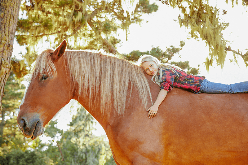 Rider with her horse at an equestrian property in Westchester County